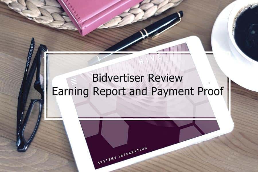 Bidvertiser Review 2023 With Earning Report