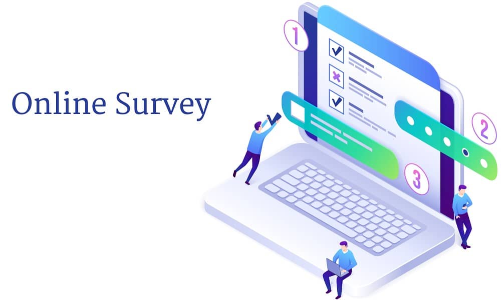 Paid Online Survey
